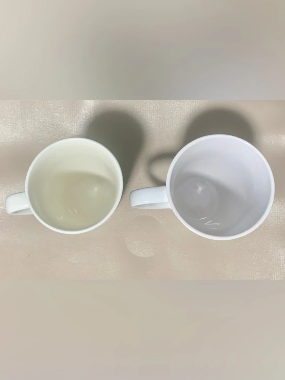 Starbucks Tall Latte Mug Bundle – (2) Ceramic Coffee Mugs